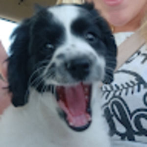 Meet your Posher, Lilly